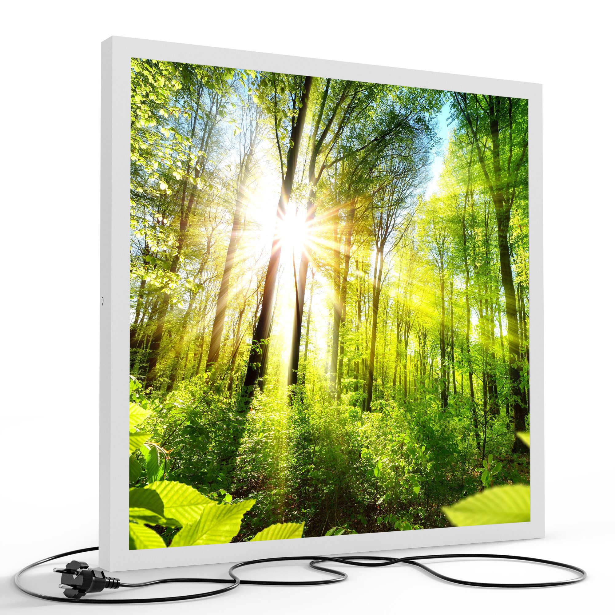 DEQORI LED-Bild 'Licht durchdringt Bäume', (1 St), LED Lampe Leuchte Leuchtbild Bild beleuchtet Deckenleuchte Wandlampe