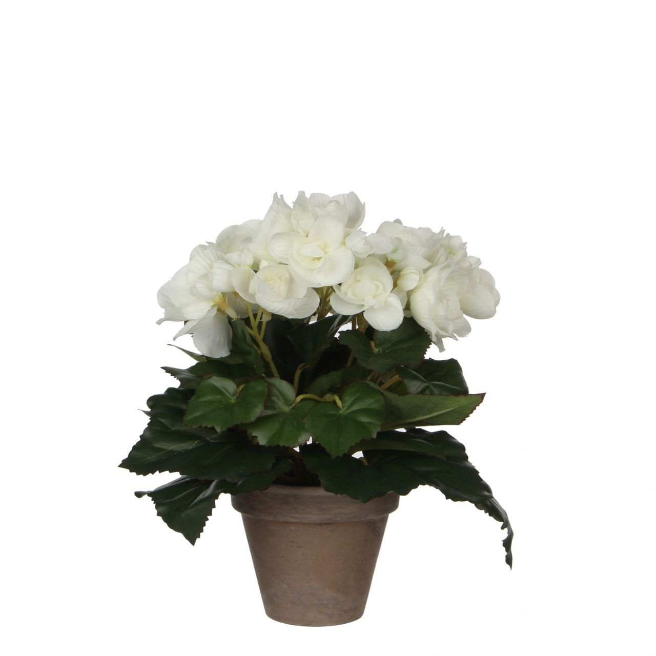 Kunstpflanze Mica Begonia im Topf weiß, 25 x 20 cm, Mica Decorations