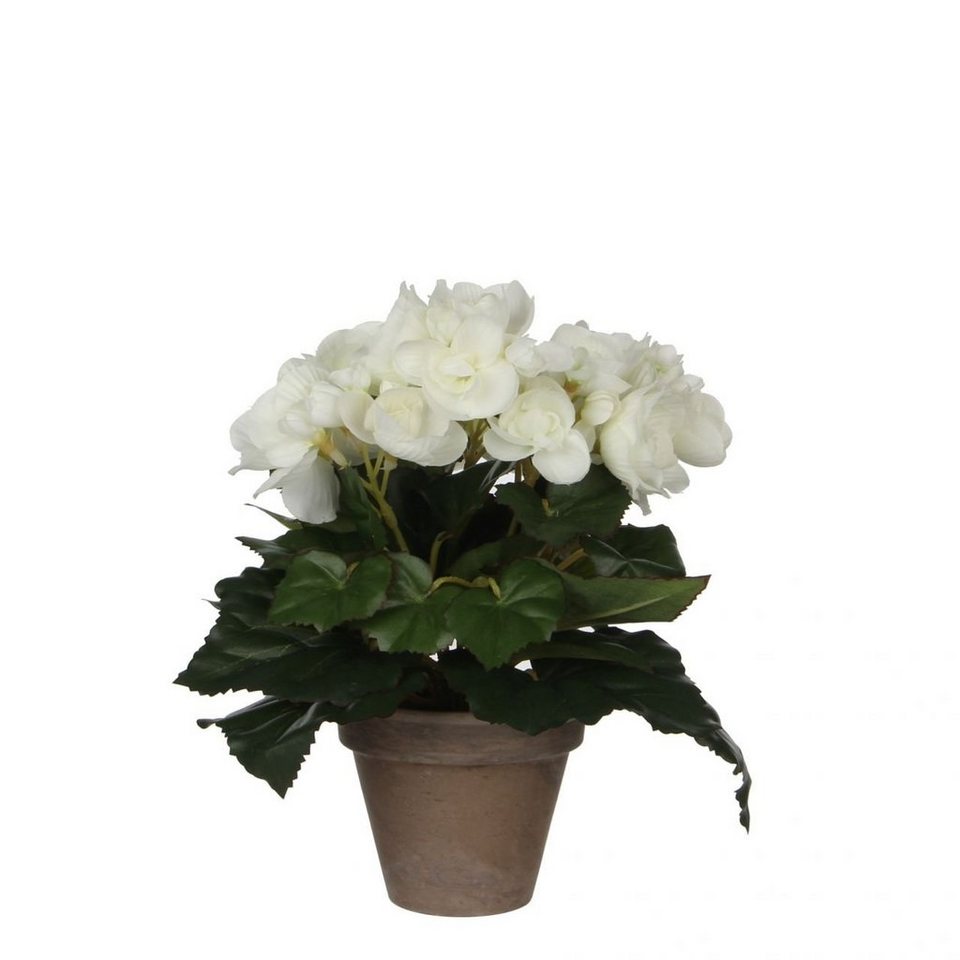 Kunstpflanze 25 cm, 20 im weiß, Mica Topf Mica x Begonia Decorations
