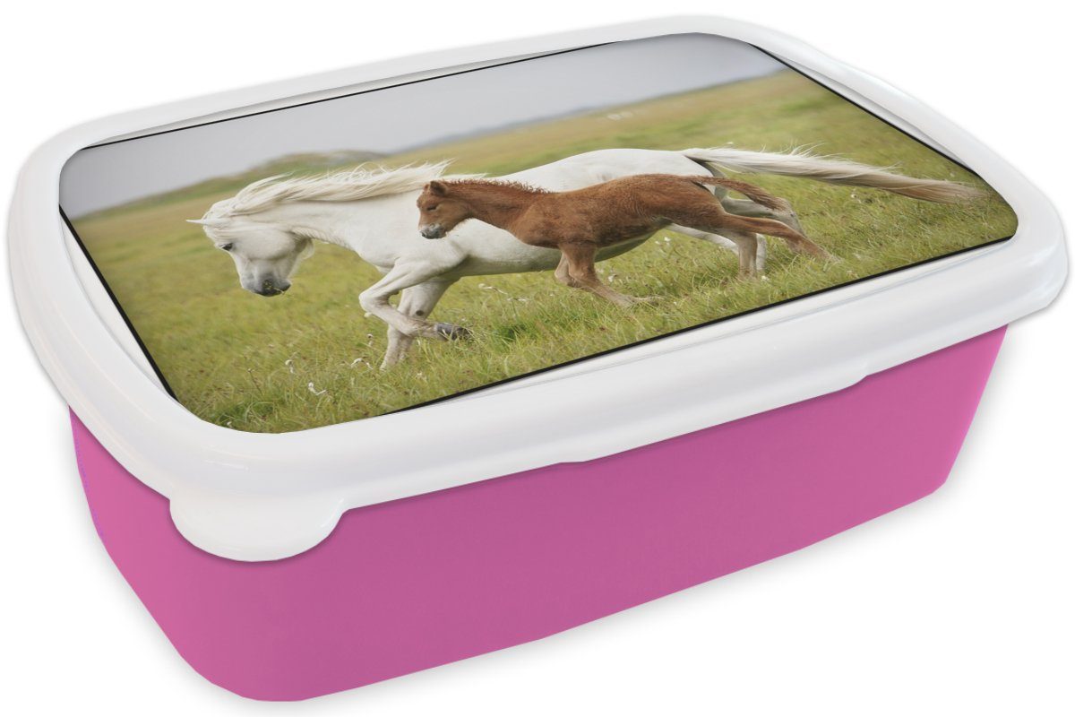 MuchoWow Lunchbox Pferde - Tiere Kinder, für (2-tlg), Kunststoff, Snackbox, - rosa Gras, Mädchen, Kunststoff Erwachsene, Brotdose Brotbox