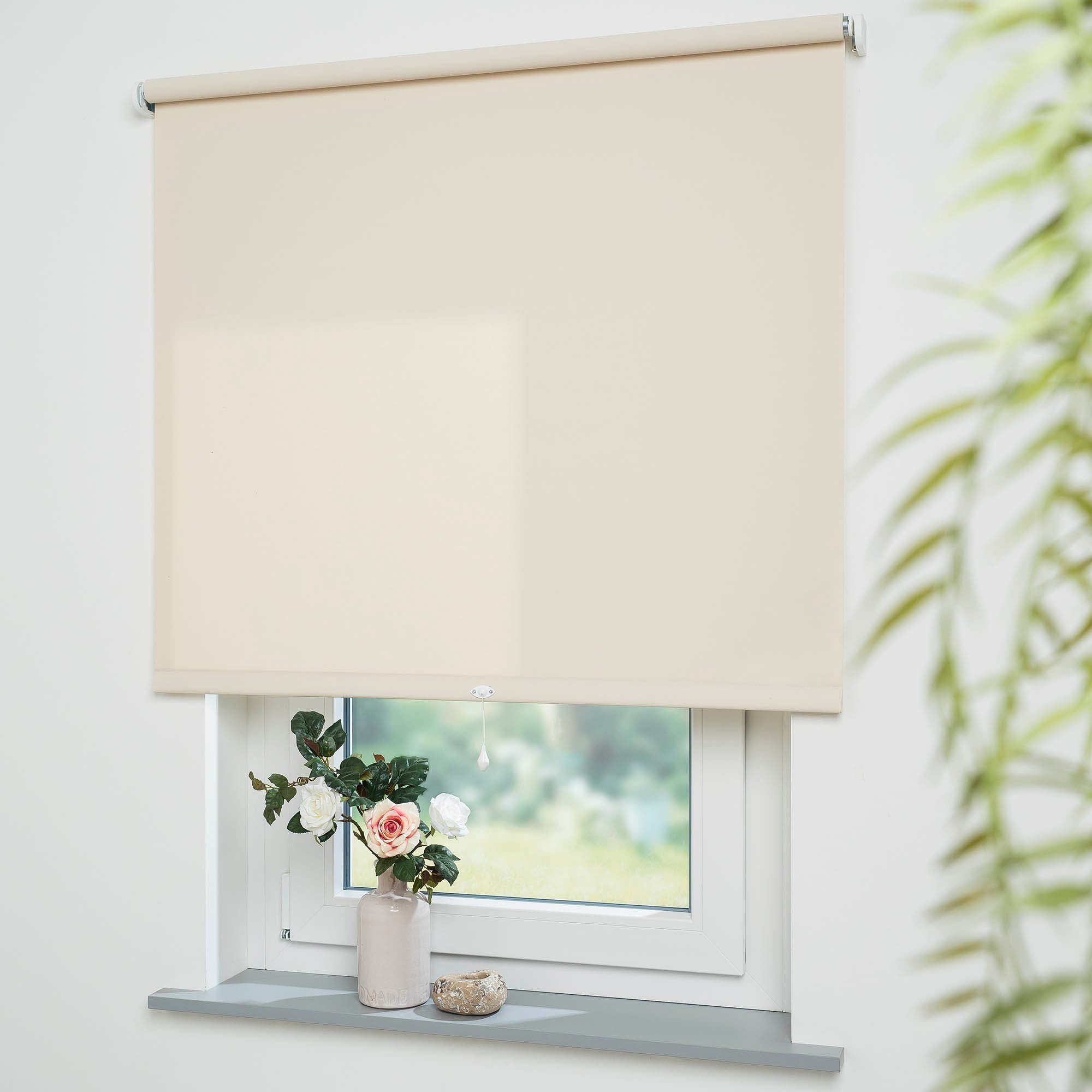 Springrollo Uni, Liedeco, Lichtschutz, mit Bohren, günstig online kaufen