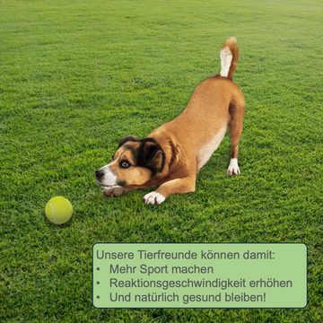 DEMANIK Tierball 12 Tennisbälle mit Tragetasche für Haustiere, Training, Hundespielzeug, (12-tlg)