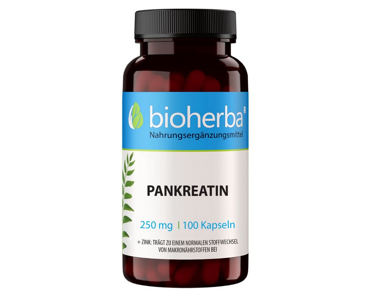 BIOHERBA R Bioherba Pankreatin 250 mg 100 Kapseln Nahrungsergänzungsmittel, 1 er