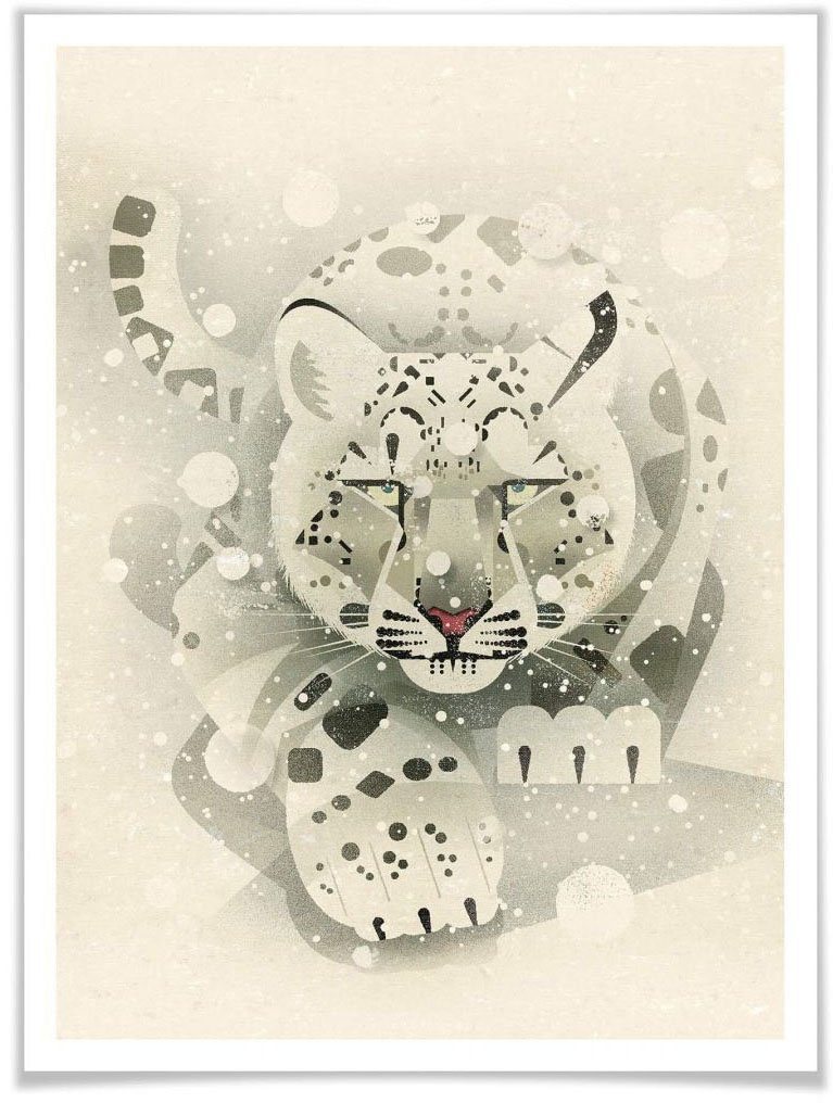 St), Poster (1 Poster, Schneeleopard, Wandbild, Wall-Art Wandposter Bild, Tiere