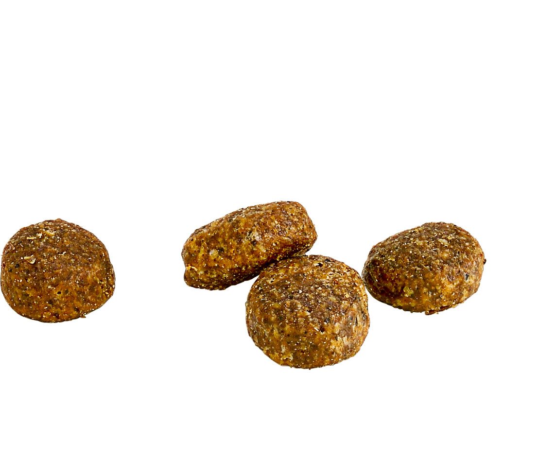 Dehner Wild Nature Hochmoor Junior Ente, 4 kg/12 kg, getreidefrei/zuckerfrei Ente, Trockenfutter für: Hunde, Trockenfutter für Welpen / junge Hunde