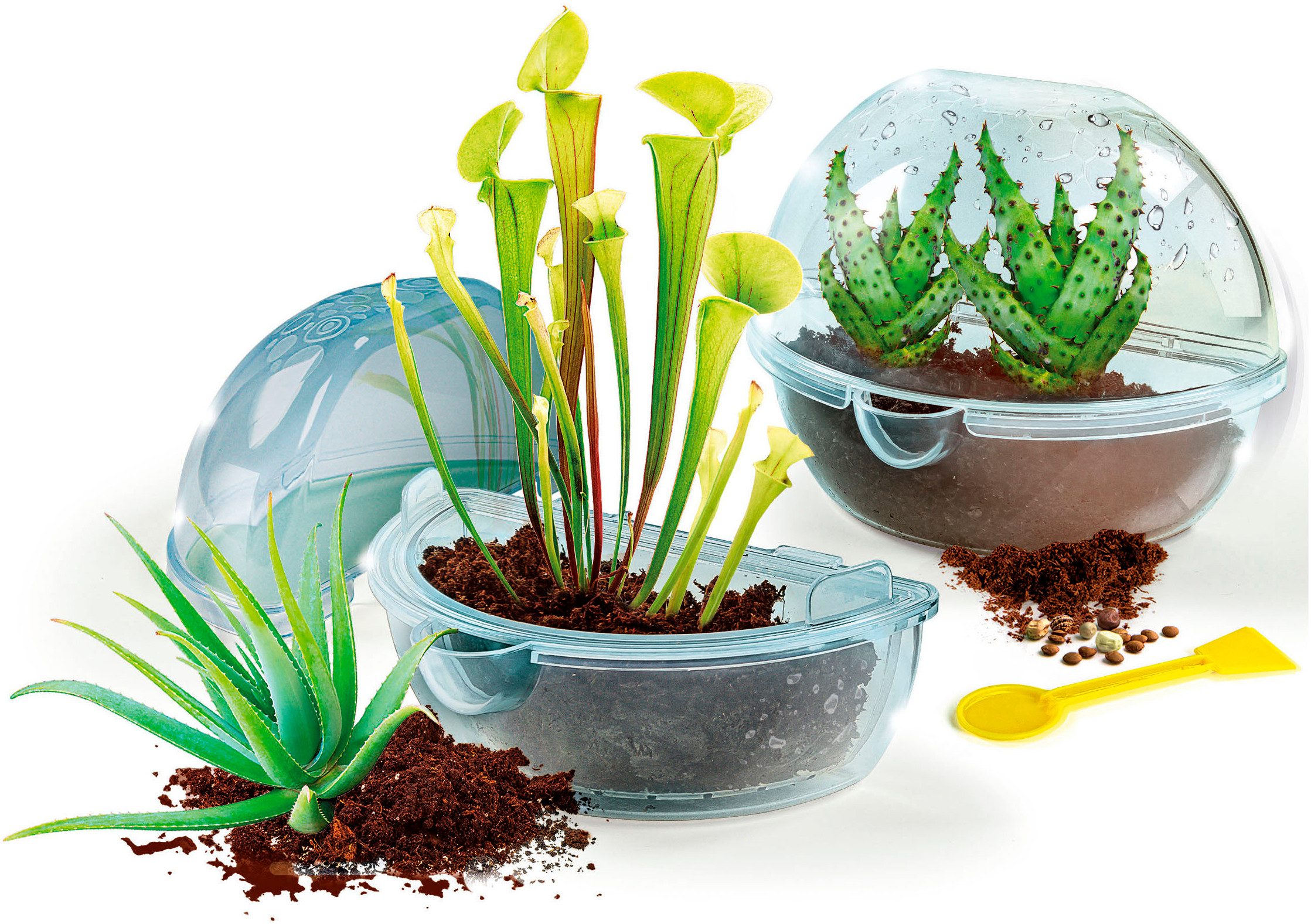 Clementoni® Experimentierkasten Galileo, Entdecke die Welt der fleischfressenden Pflanzen, Made in Europe