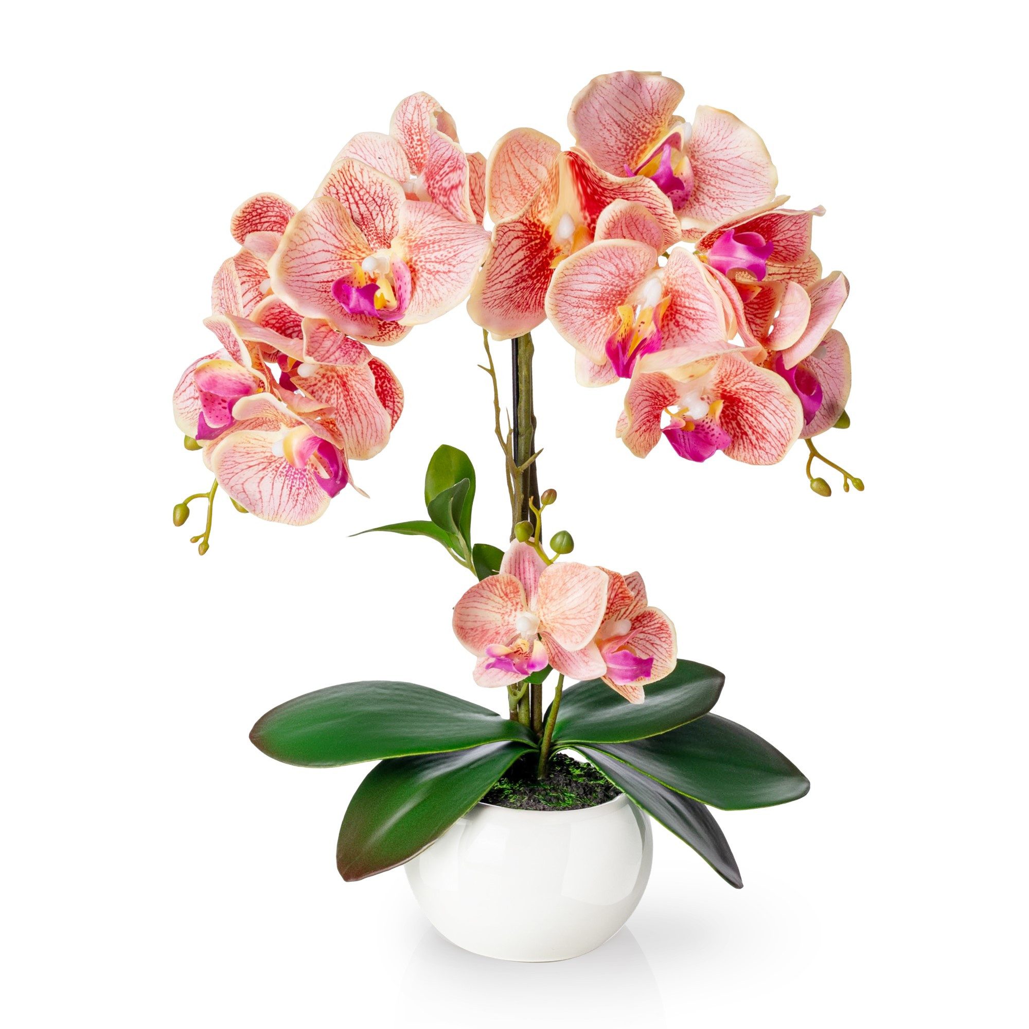 Kunstorchidee PASCH® Orchidee künstlich wie echt (40cm) in Hochglanz-Keramiktopf Orchidee, PASCH