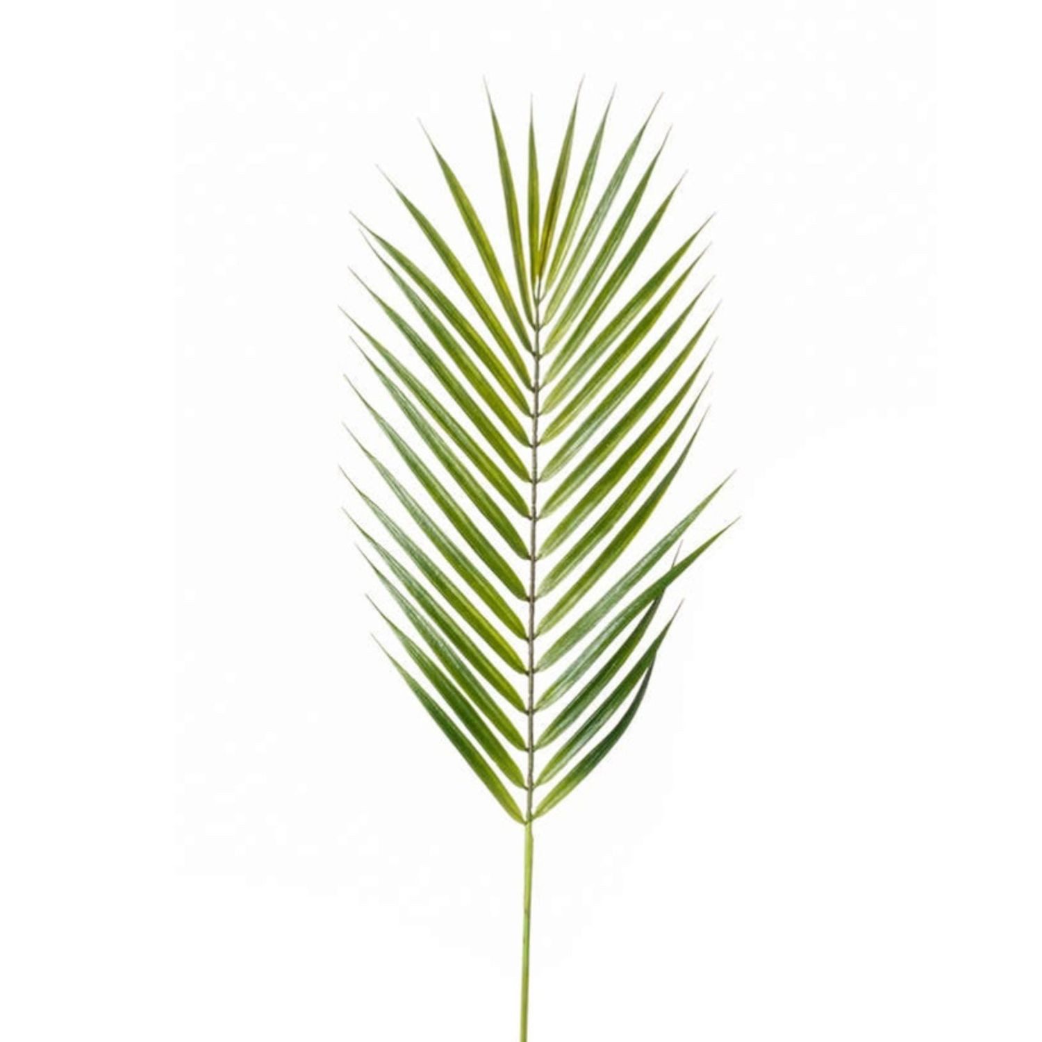 Kunstpflanze künstliche Blätter Palme, Emerald, Höhe 75 cm, Farbe: Grün