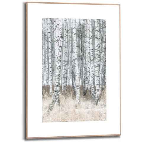Reinders! Bild Gerahmtes Bild Birken Naturmotiv - Bäume - Fotografie, Bäume (1 St)