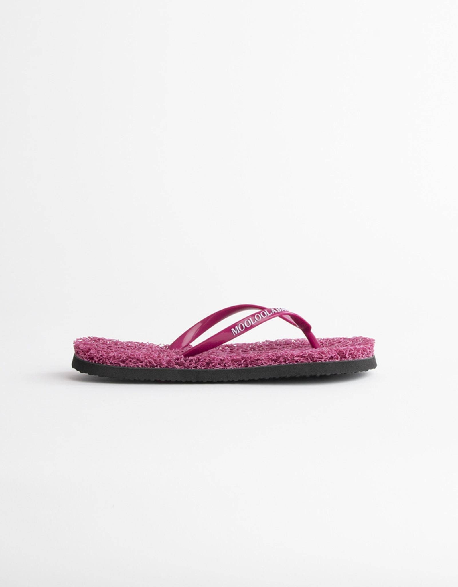 MOOLOOLABAS OLIVIA Strandschuh Noodlemesh Sohle günstig online kaufen