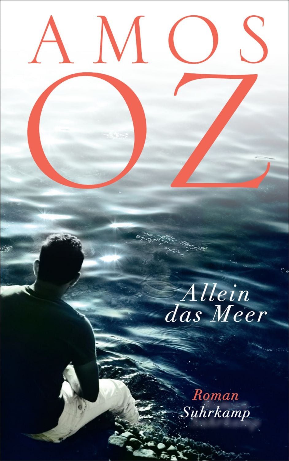 Allein das Meer / Amos Oz
