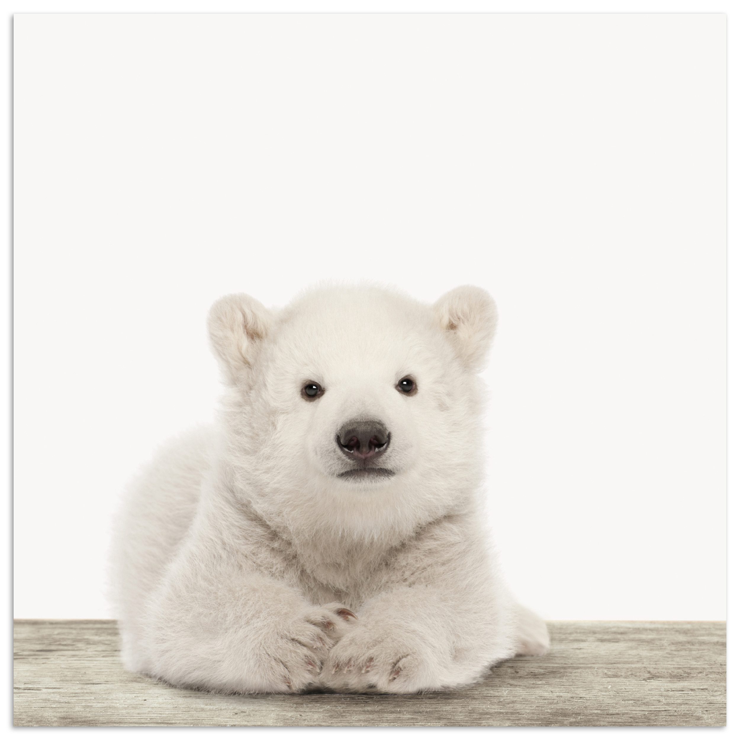 MuchoWow Poster Eisbär - Tiere - Kinder - Weiß - Jungen - Mädchen, (1 St), Poster ohne Rahmen, Wandbild, Wandposter, 30x30 cm