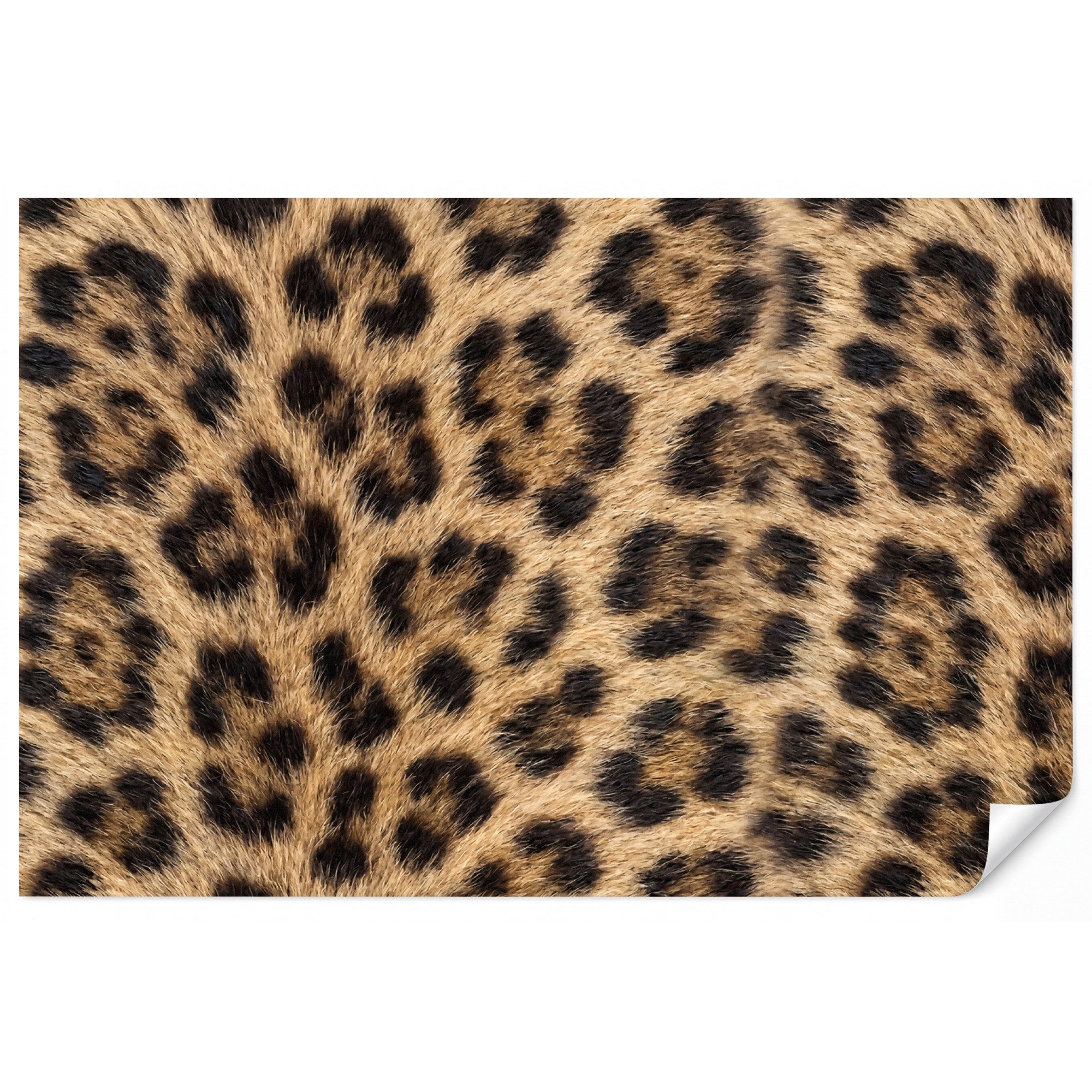 OnlyWow Fototapete Leopard - Mantel - Klassisch - Braun, Matt, bedruckt, Wohnzimmer, Modern, Wanddekoration, Vliestapete 100x70cm