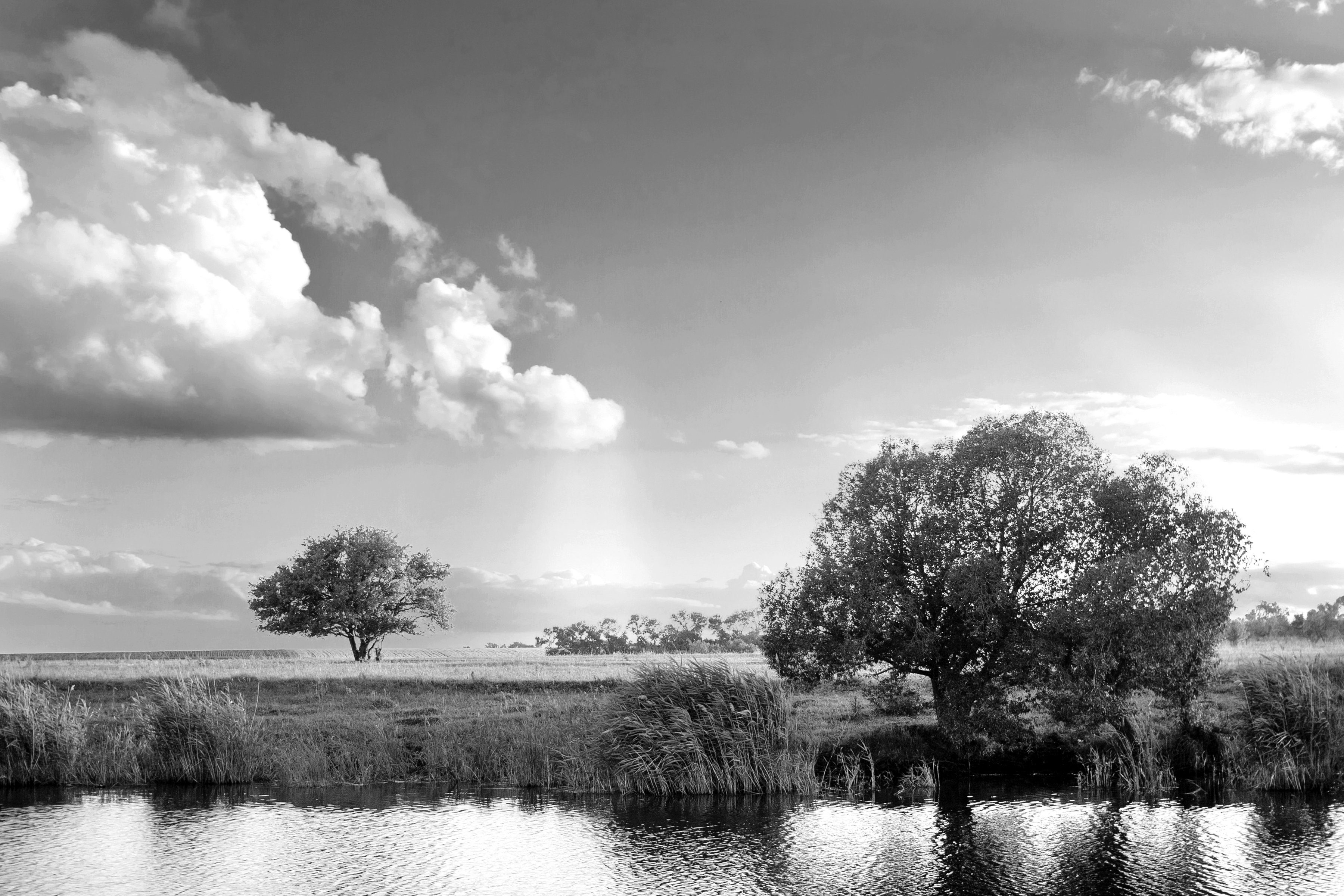 Fototapete Landschaft Papermoon & Schwarz Weiß
