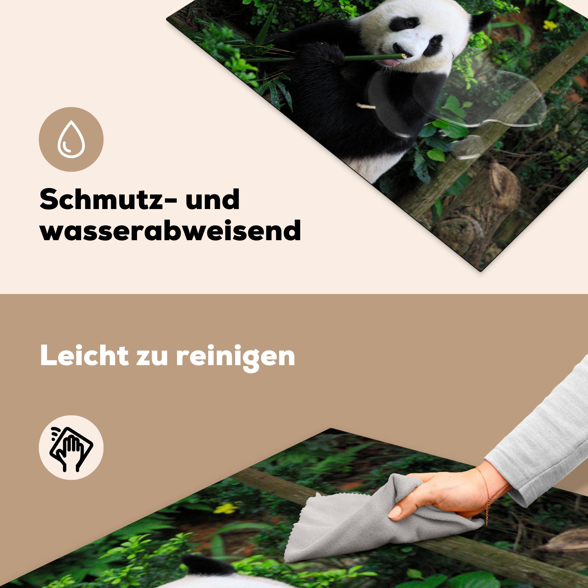 Wald, cm, Induktionskochfeld Herdblende-/Abdeckplatte 81x52 (1 - küche, MuchoWow Vinyl, - Schutz für tlg), die Ceranfeldabdeckung Bambus Panda