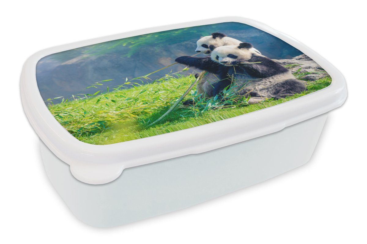 MuchoWow Lunchbox Panda - Bambus für Jungs Mädchen Erwachsene, - für Gras weiß Tiere, und Brotdose, - Kunststoff, und Brotbox Kinder (2-tlg)