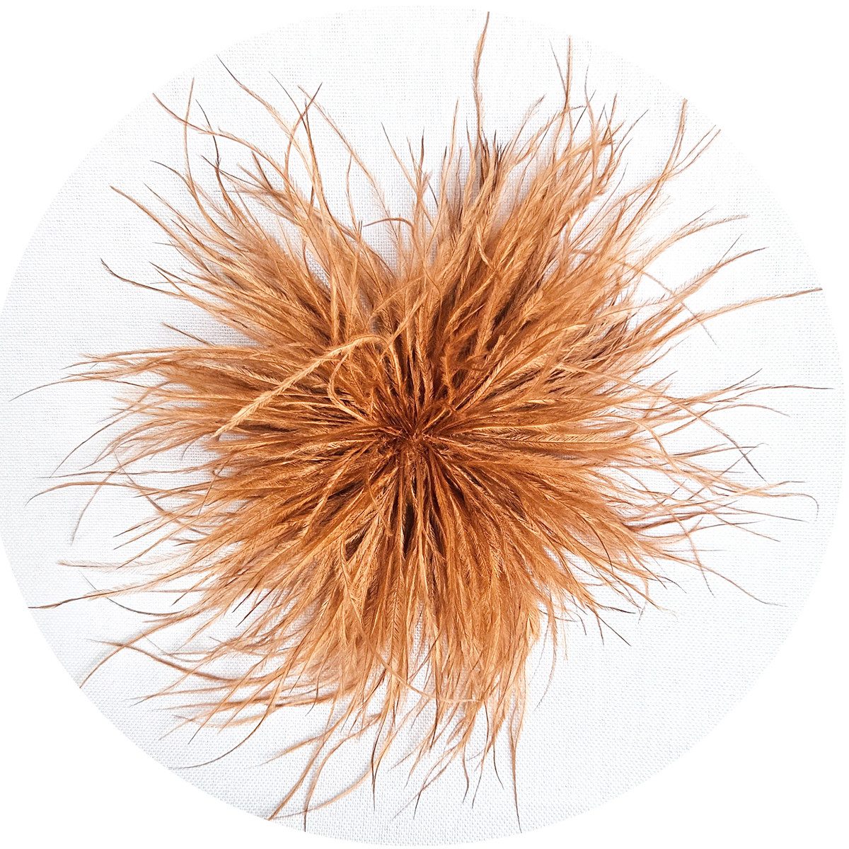 Brosche Federbrosche Cognac Clip Antecker Federn Klammer Haarklammer Strauß günstig online kaufen