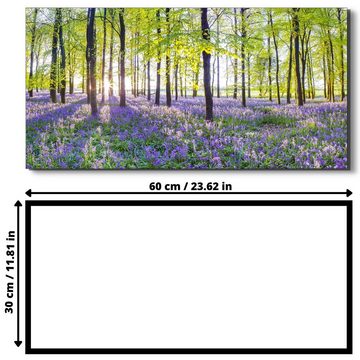 Victor (Zenith) Acrylglasbild Acrylglasbild \"Blauglöckchen im Frühlingswald\" - Größe: 30 x 60, Blumen, in 30x60 cm, Glasbilder Blumen, Wohnzimmer & Schlafzimmer