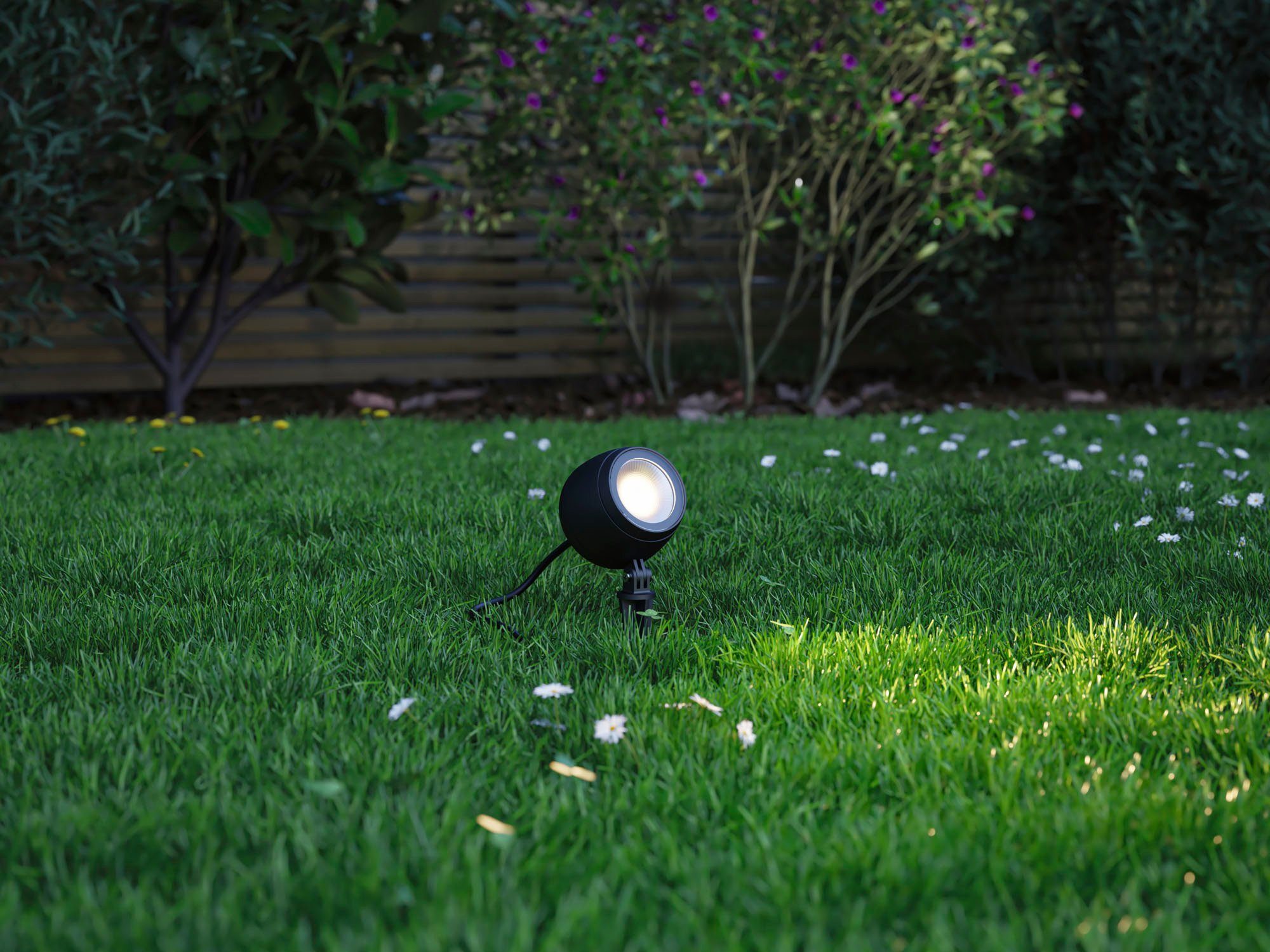 Spot & Shine anthrazit 3000K Plug LED Gartenleuchte Paulmann Shine 20° & LED anthrazit, Kikolo Outdoor 20° 3000K Warmweiß, Plug fest integriert, Outdoor Kikolo Spot
