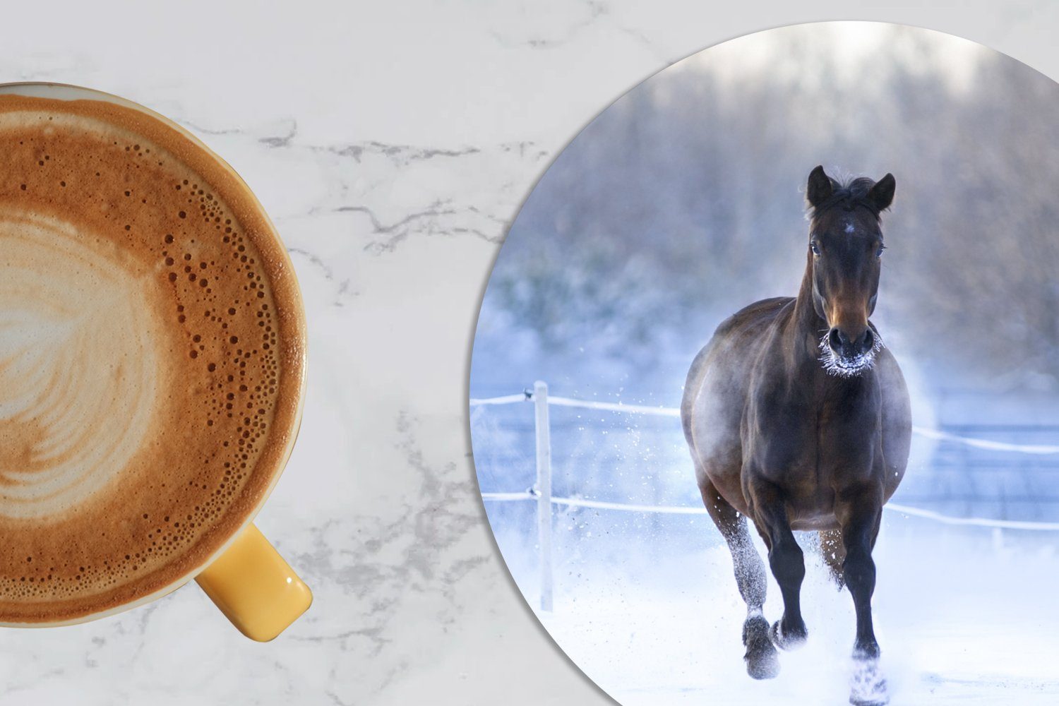 Tasse, Schnee Tassenuntersetzer, Zubehör - Glasuntersetzer - für 6-tlg., Gläser, Korkuntersetzer, Winter - Pferd Zaun, MuchoWow Becher Getränkeuntersetzer,