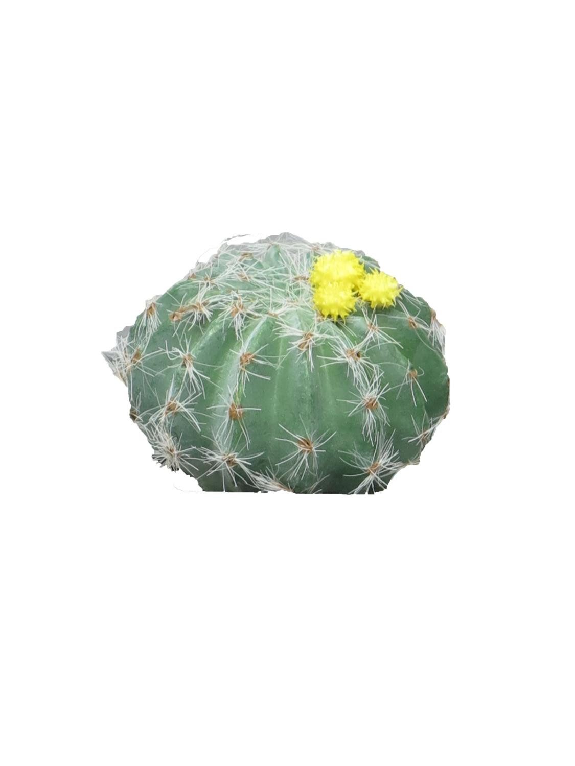 Kunstkaktus Deko Schwiegermutterstuhl JIAYIN mit Blüten, Steckstab, gelb, 8 cm Schwiegermuttersitz, artplants, Höhe 8.0 cm