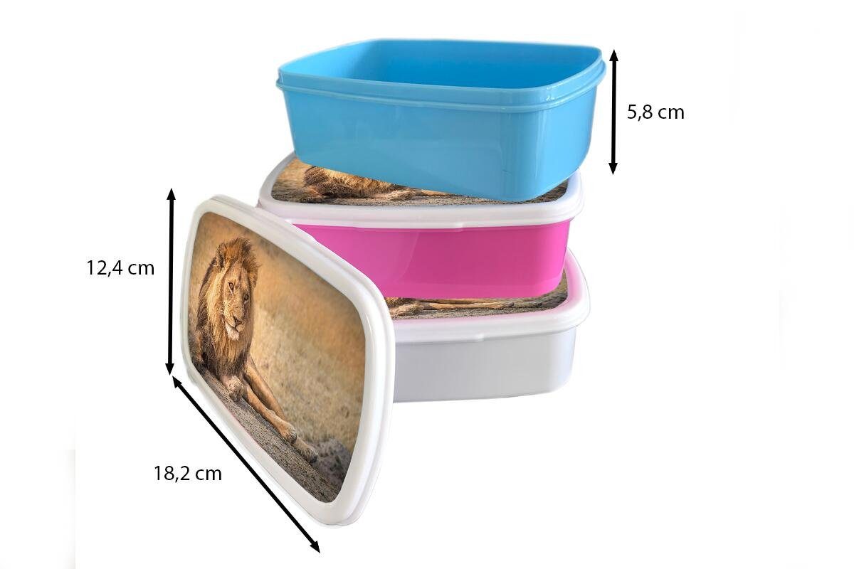 Mädchen und - Brotbox Brotdose, (2-tlg), Lunchbox für Kinder Kunststoff, Nahaufnahme - Jungs MuchoWow und Erwachsene, Löwe Savanne, weiß für