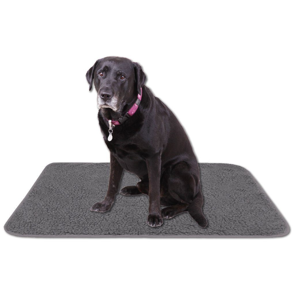 Bestlivings Tierdecke Lammflor, Katzen- & Hundedecke, günstig online kaufen