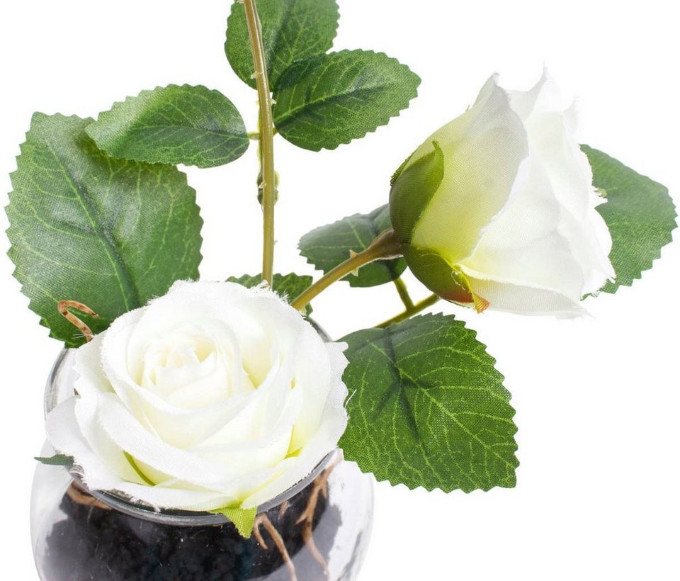 Kunstblume Rosen im Glas Rose, Botanic-Haus, Höhe 16 cm, Naturgetreue  Kunstpflanze