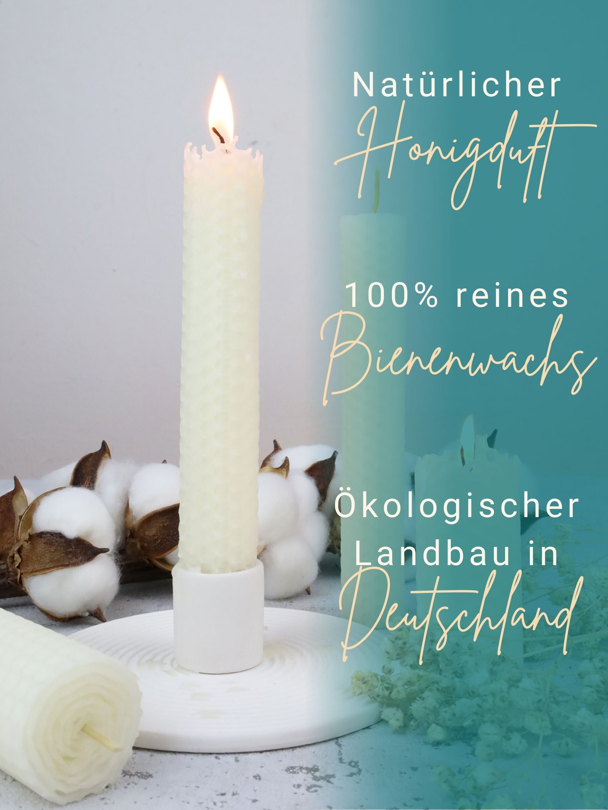 Wachsmann Bienenprodukte Bastelnaturmaterial Bienenwachsplatten XL, 100% echtes Bienenwachs