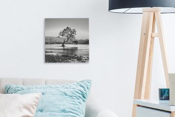 OneMillionCanvasses® Leinwandbild Neuseeland - Baum - Schwarz - Weiß, (1 St), Leinwand Bilder für Wohnzimmer Schlafzimmer