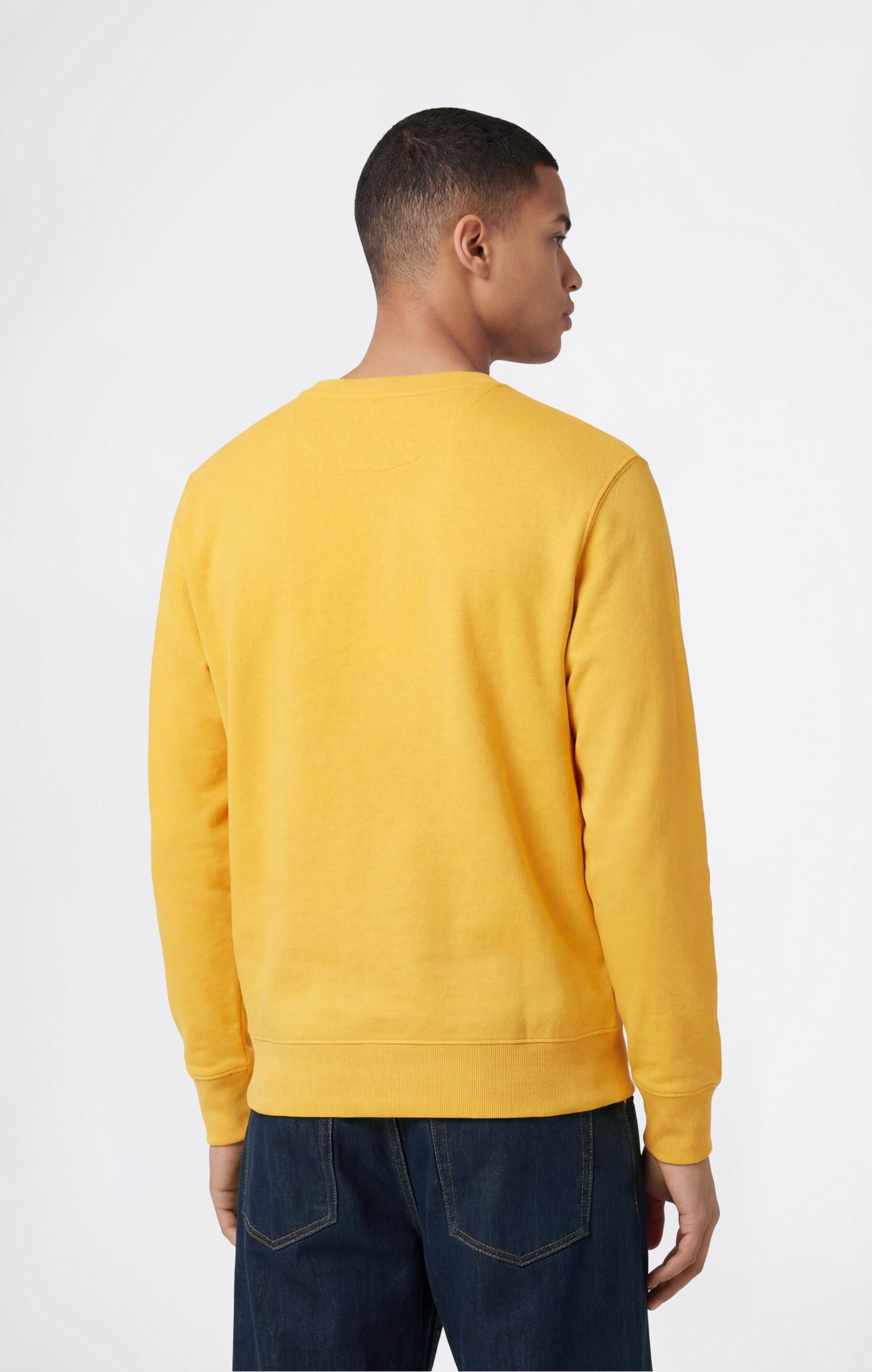 Champion Sweatshirt Crewneck Herren Sweatshirt Rundhals-Ausschnitt gelb