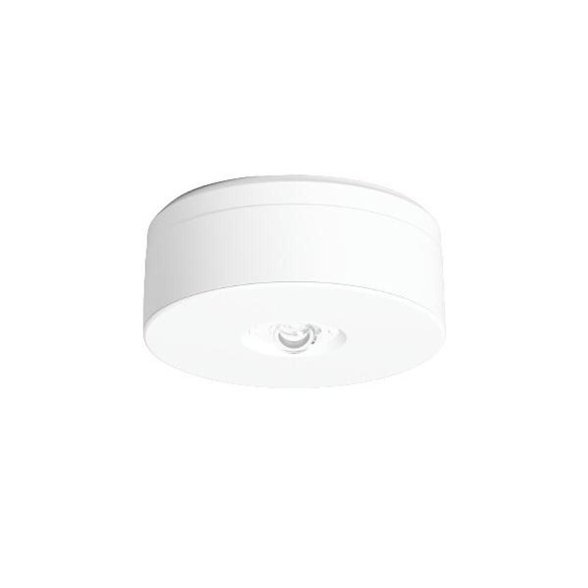 RZB Deckenleuchten RZB LED-Sicherheitsleuchte 672527.002