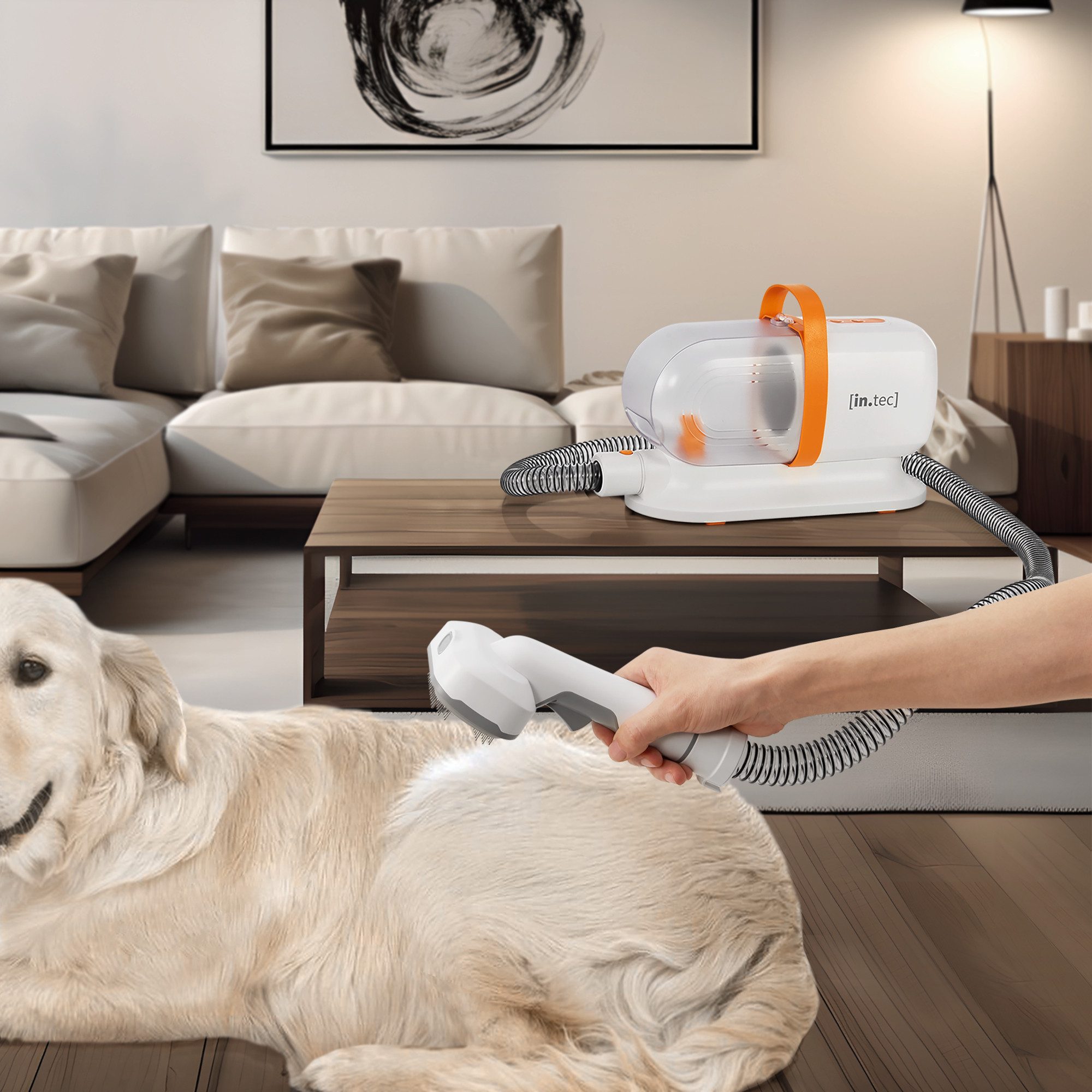 Thumbnail - in.tec Hundeschermaschine, Haustierpflegeset 5 in 1 'Amesbury' Weiß / Orange