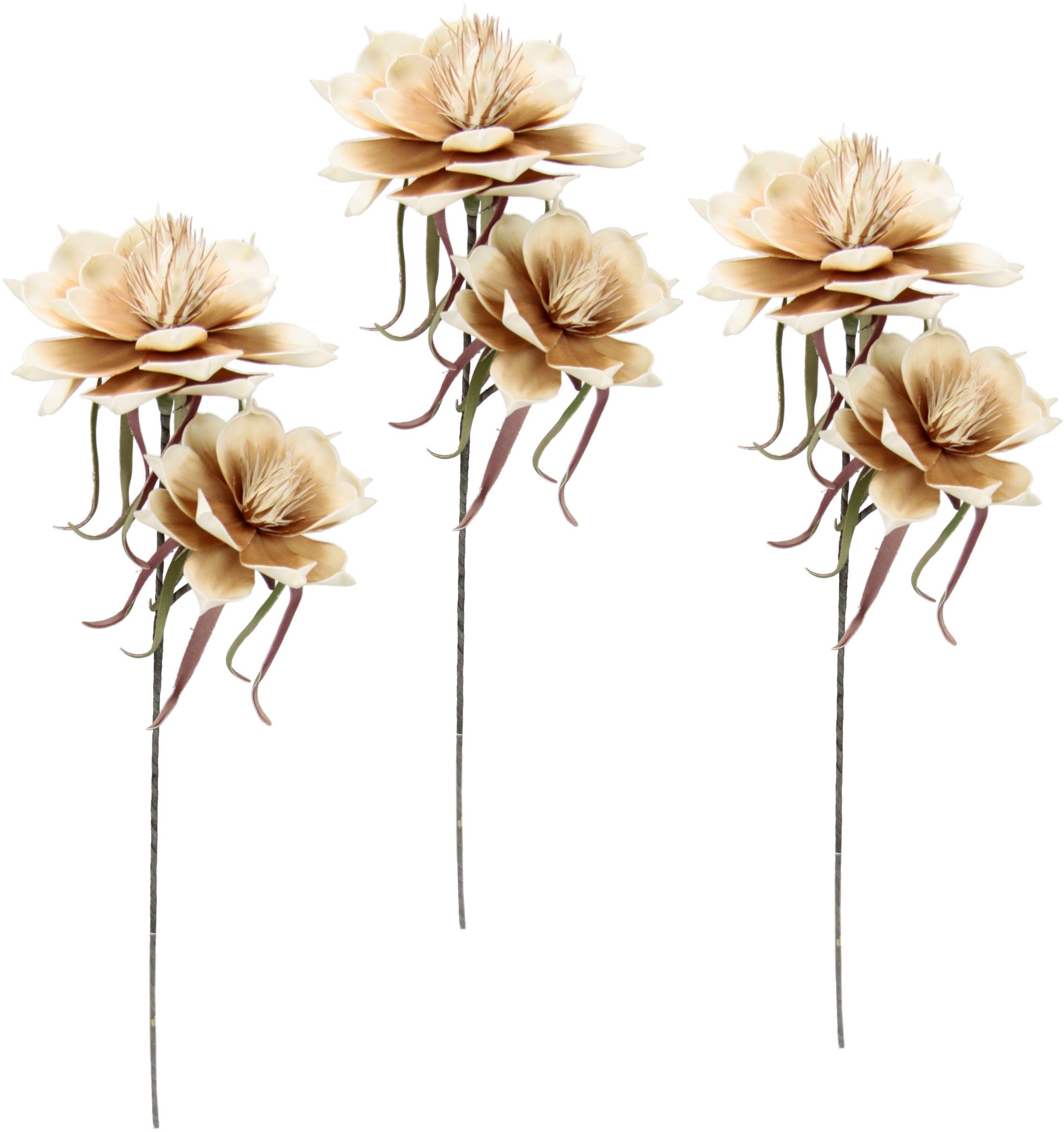 Kunstblume Soft-Magnolie, I.GE.A., Höhe 84 cm, 3er Set