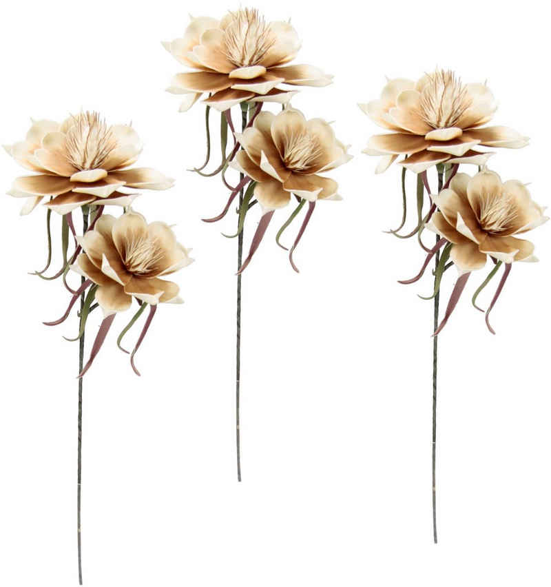 Kunstblume »Soft-Magnolie«, I.GE.A., Höhe 84 cm, 3er Set
