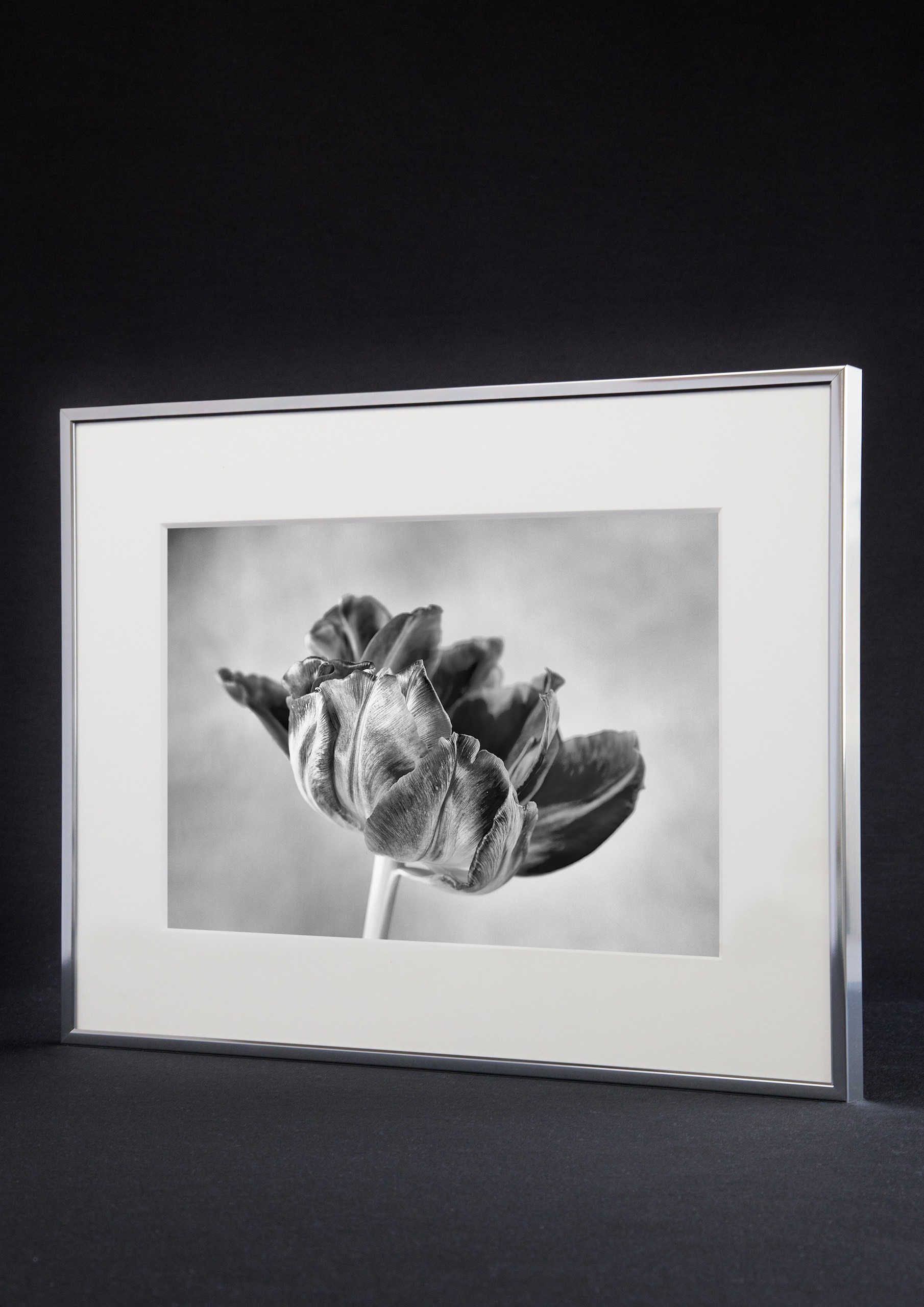 accent by nielsen Bilderrahmen Accent, (1 St) günstig online kaufen