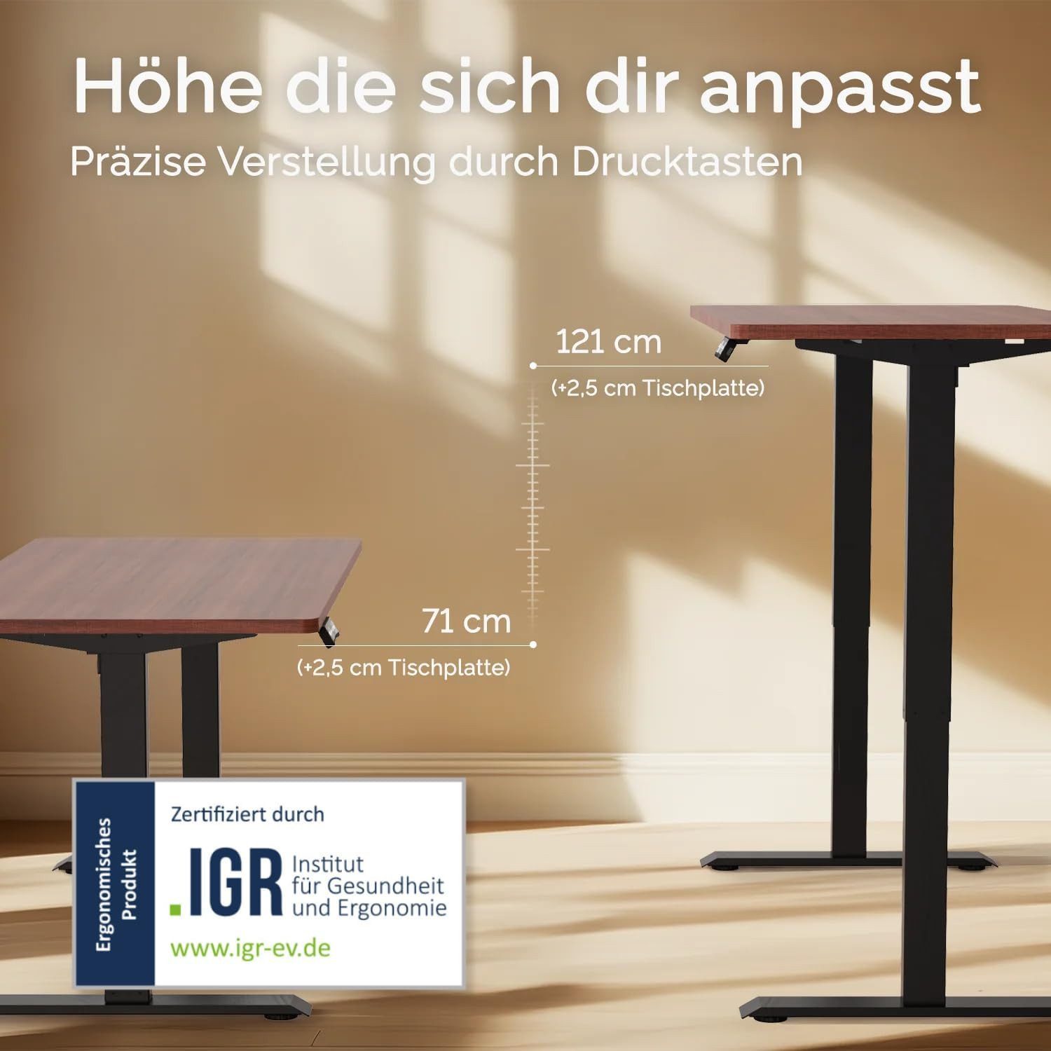 DESKSPACE Schreibtisch Pro Elektrisch höhenverstellbarer Schreibtisch - inklusive Tischplatte (Komplettset inkl. Tischplatte und Gestell), Ergonomischer Stehpult mit Memory Funktion & Kollisionsschutz