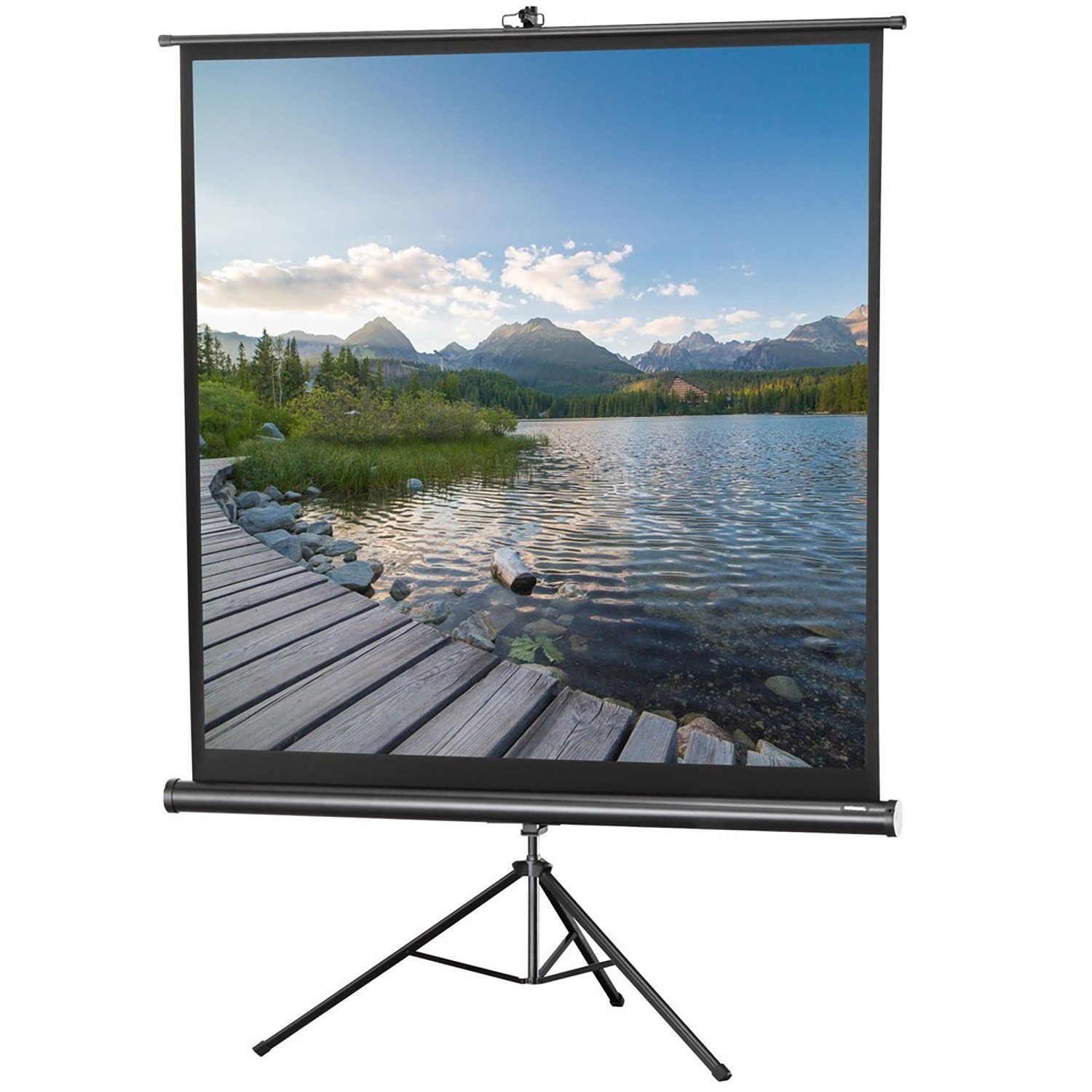 Celexon Stativleinwand 1:1, 1) 133cm, x Economy (133 Gain