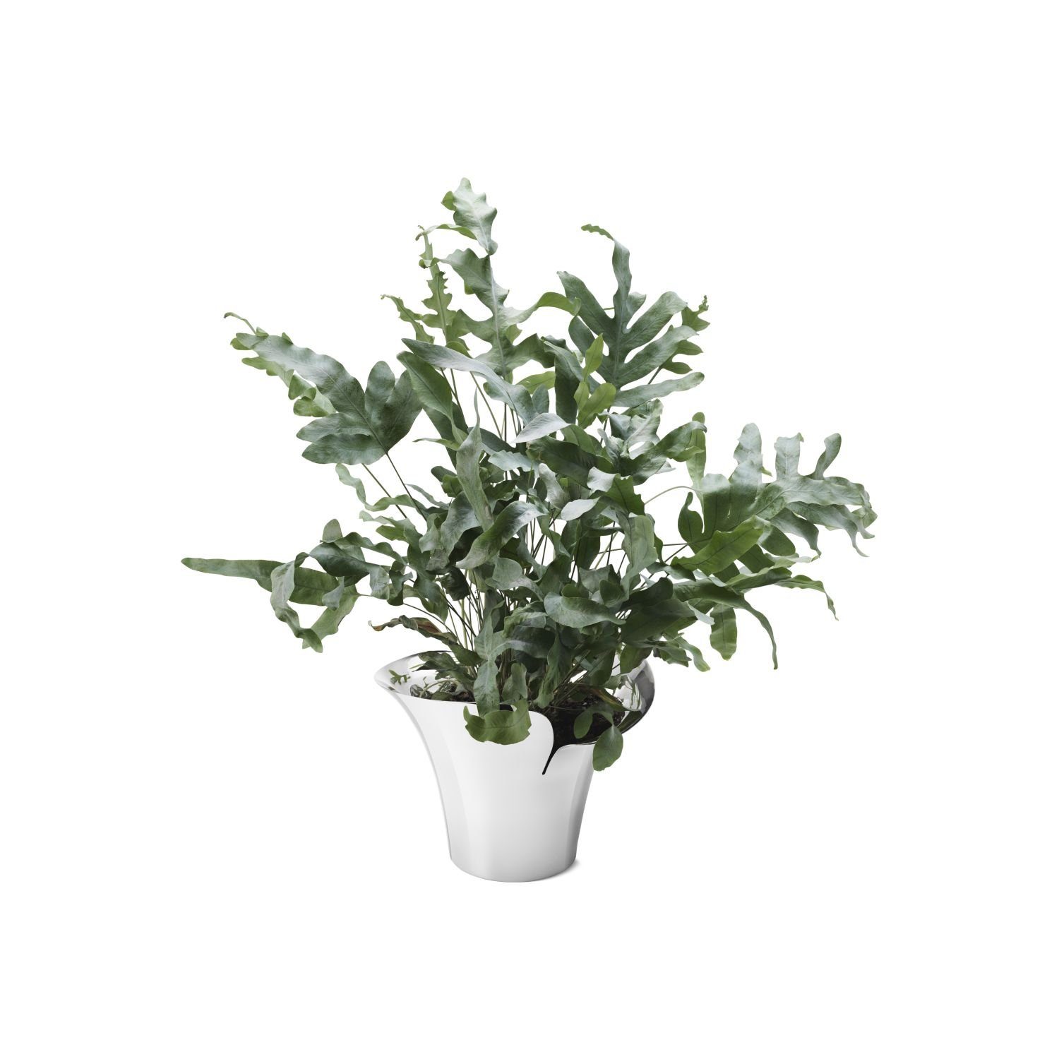 Georg Jensen Blumentopf Bloom Botanica Medium günstig online kaufen