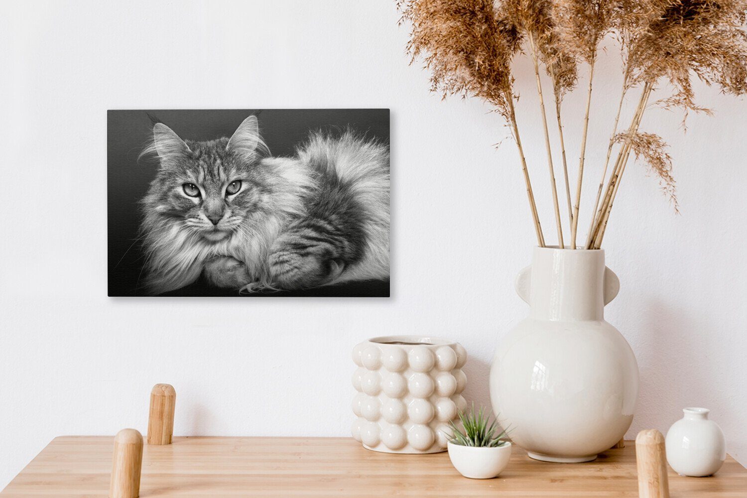 liegende Wanddeko, Eine 30x20 schöne Leinwandbild Maine Leinwandbilder, weiß, und schwarz Katze - Coon Aufhängefertig, cm (1 Wandbild St), OneMillionCanvasses®