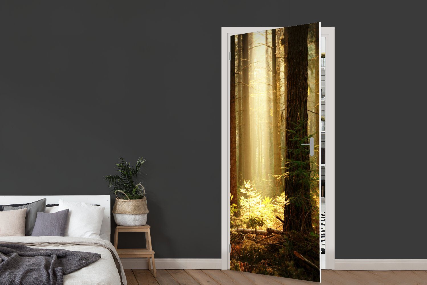 Sonne, Tür, St), 75x205 für - - Matt, Bäume cm Wald bedruckt, (1 Türaufkleber, MuchoWow Fototapete Türtapete
