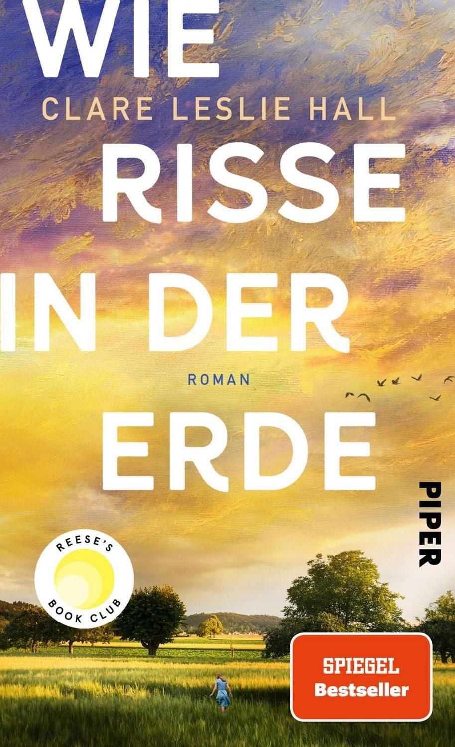 Wie Risse in der Erde / Clare Leslie Hall