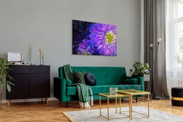 Sinus Art Leinwandbild 120x80cm Wandbild auf Leinwand Violette Blumen Blüten Makrofotografie, (1 St)