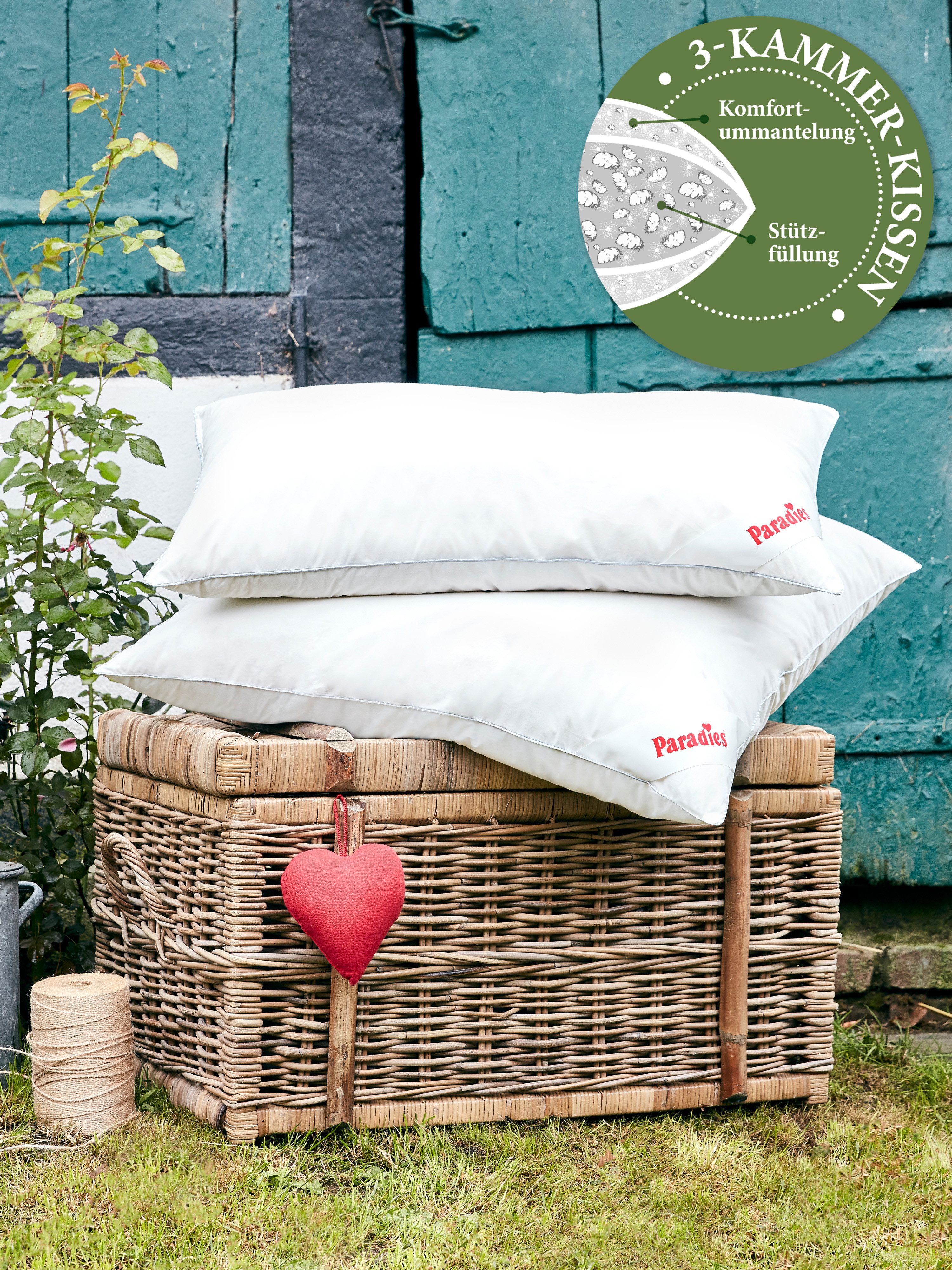Paradies 3-Kammer-Kopfkissen Abbie Bio, Füllung: Außenkammer: 90% Daunen, 1 günstig online kaufen