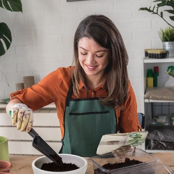 Kunstbonsai Bonsai Starter Kit Anzuchtset Pinie (Stone Pine) - Pflanzenset aus Samen, Schale, Erde, Steine & Anleitung - nachhaltiges Geschenk für Sie & Ihn Bonsai, NADIR