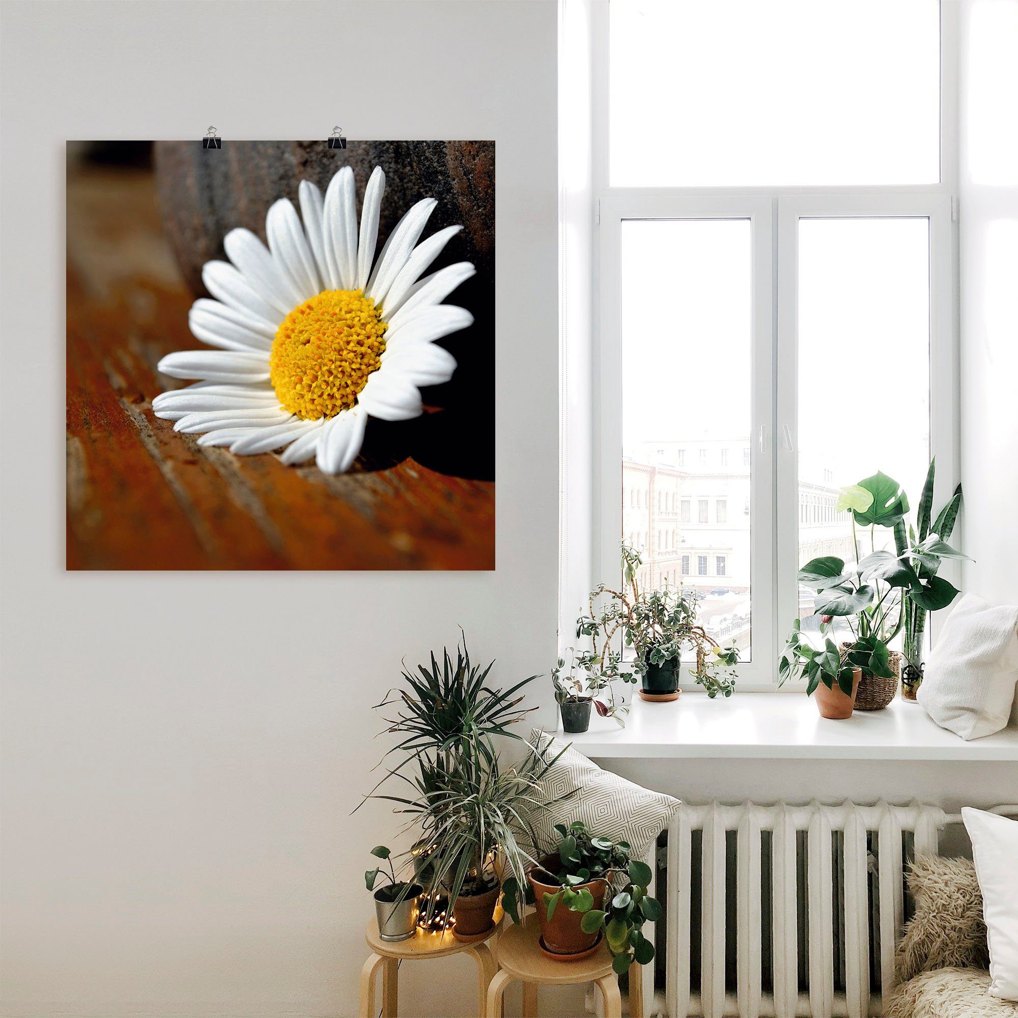 Artland Poster Margeriten Stillleben, Blumen (1 St), ohne Rahmen