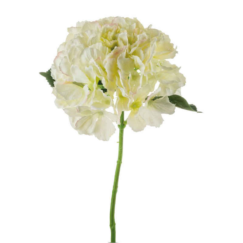Kunstblume Hortensienblüte hochwertig Kunststoff Ø 20x40 cm weiß Hortensie, matches21 HOME & HOBBY, Höhe 40 cm