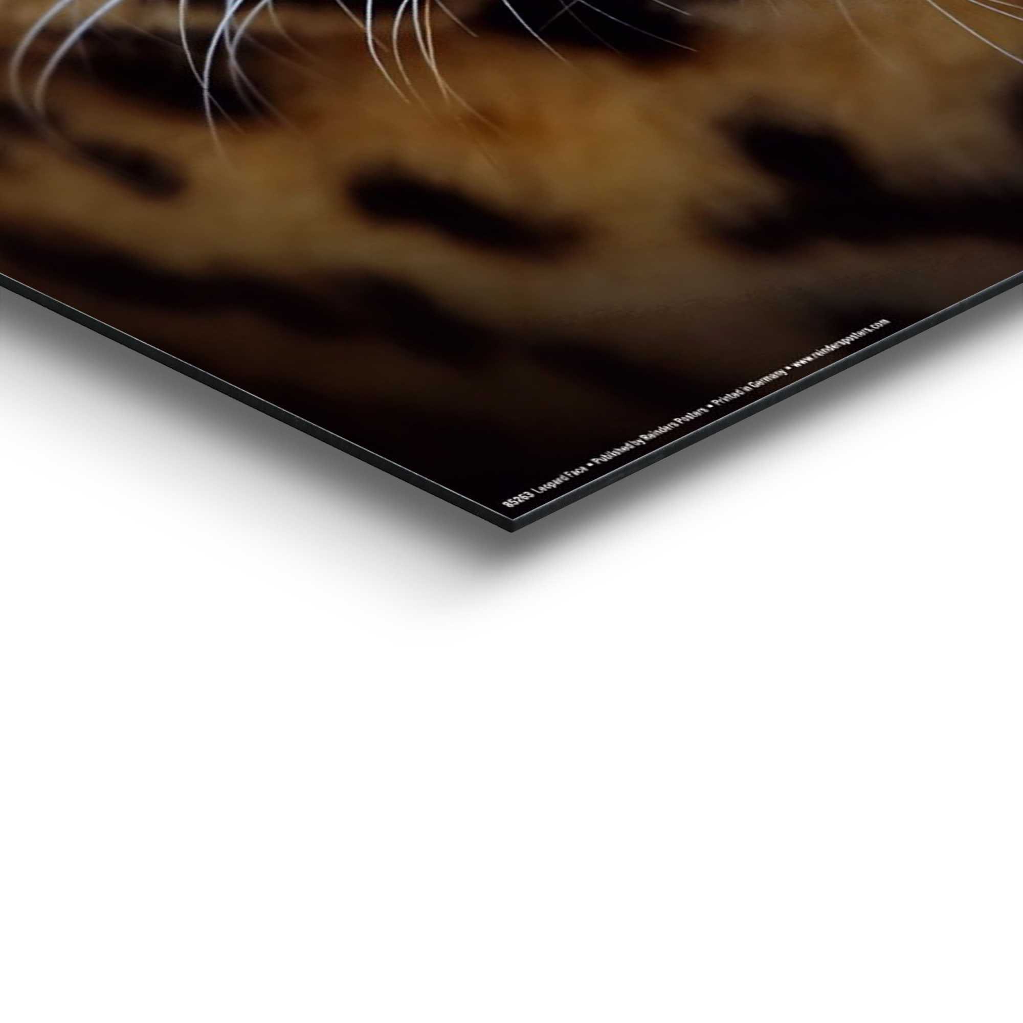 Reinders! Wandbild Wandbild Leopard Kräftig - Panther - Raubetier - Gefleckt, Leopard (1 St)