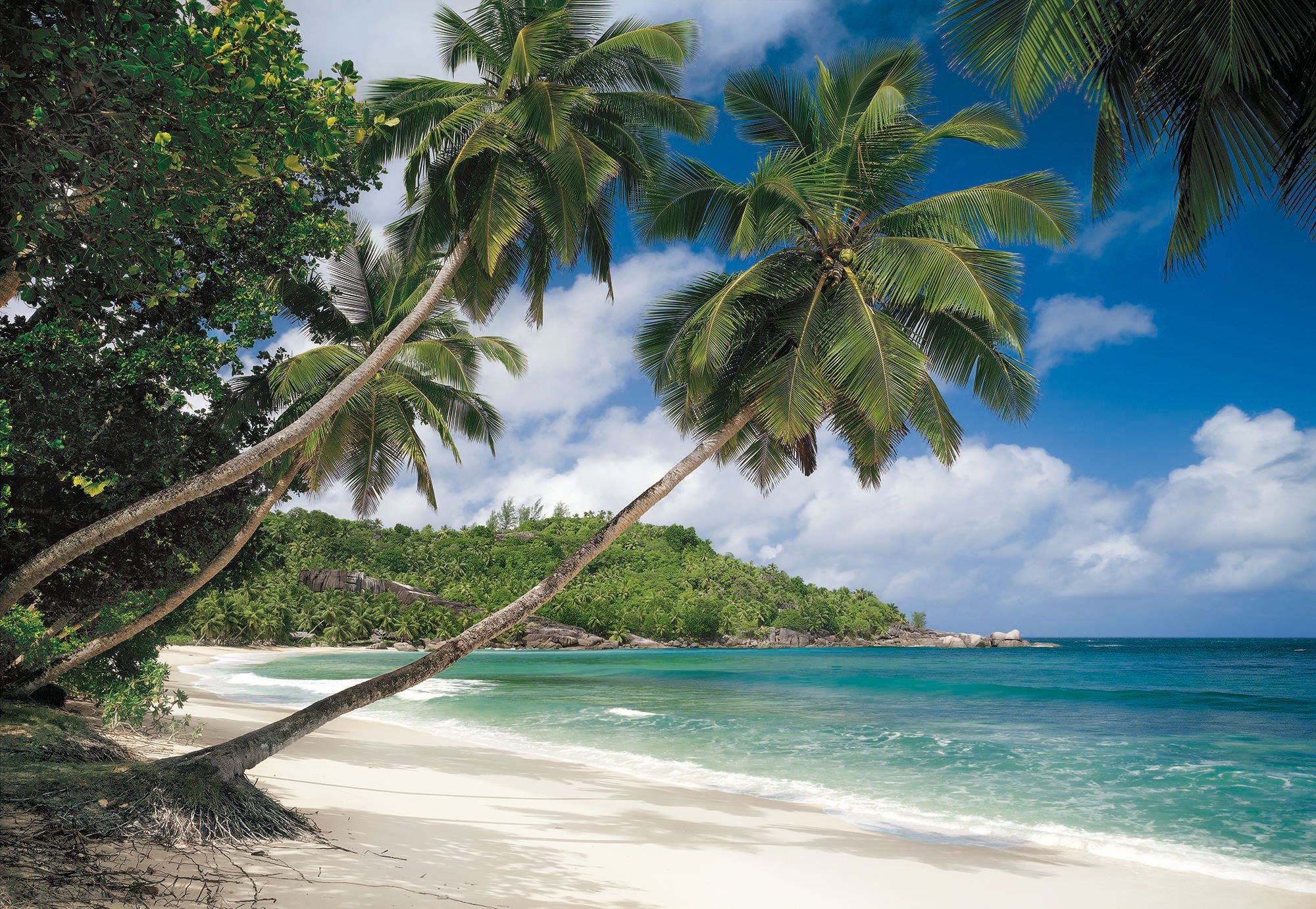 Komar Fototapete Tropical Sea, (1 St), 368x254 cm (Breite x Höhe), inklusive Kleister