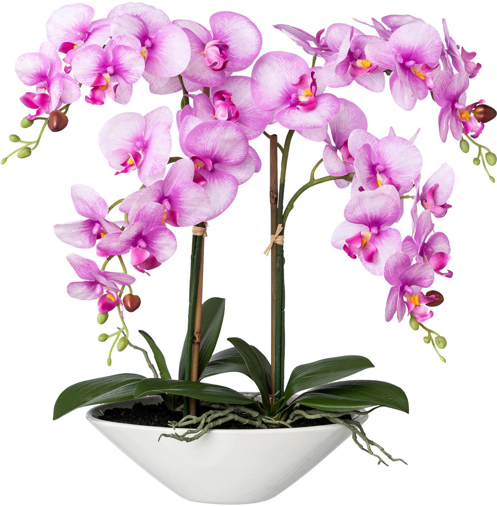 Kunstorchidee Deko-Orchidee Phalaenopsis in Keramikschale Orchidee Phalenopsis, Creativ green, Höhe 53 cm